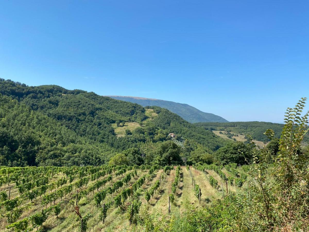 Agriturismo Le Case Assisi Exterior foto